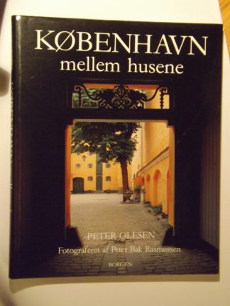 Peter Olesen: København mellem husene