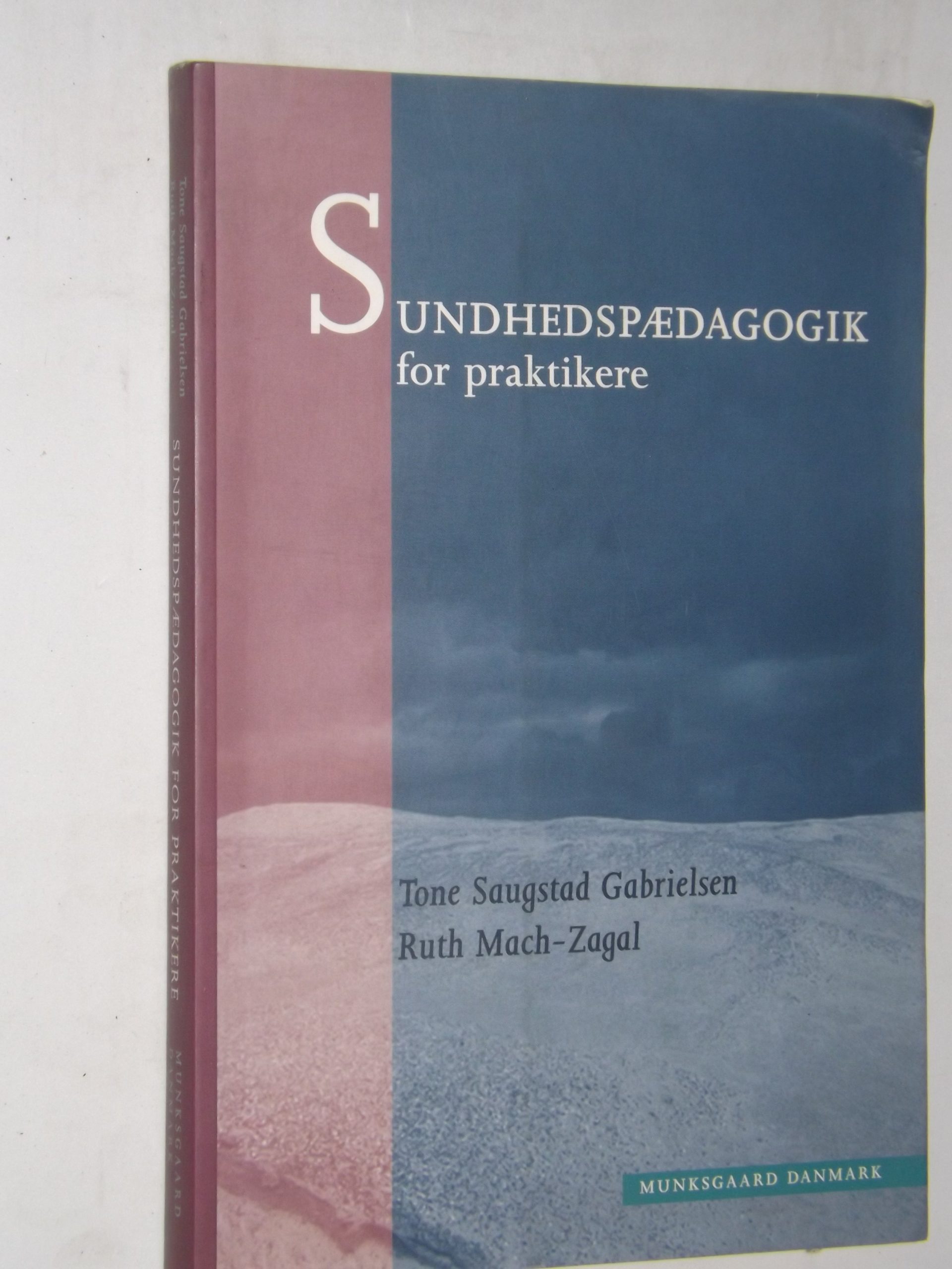 Tone Saugstad Gabrielsen og Ruth Mach-Zagal: Sundhedspædagogik for – bbog.dk – bøger til salg