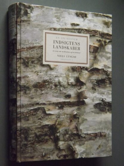 Niels Lyngsø: En sti gennem indsigtens landskaber